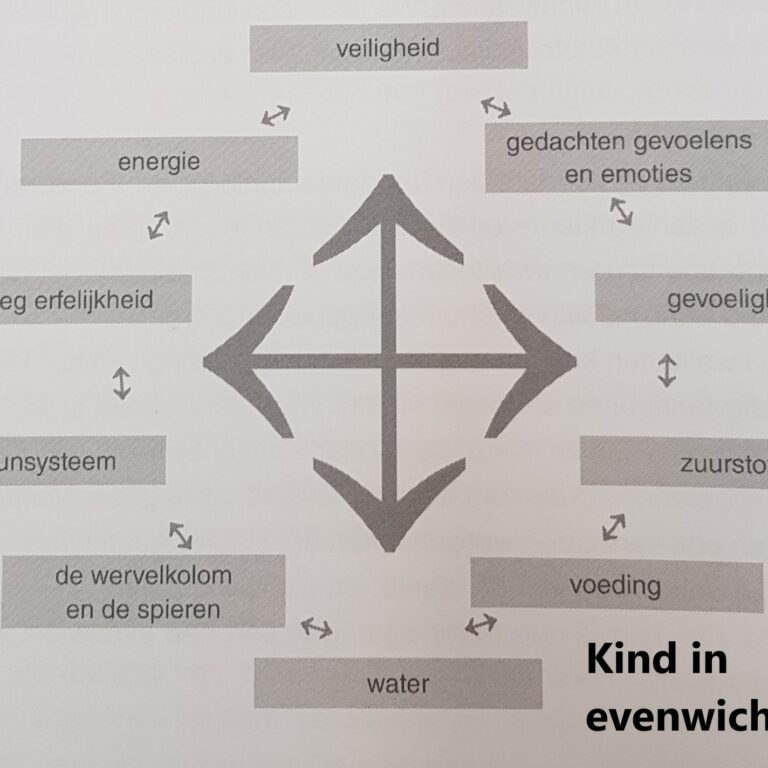 bouwstenen stroomdiagram OIE