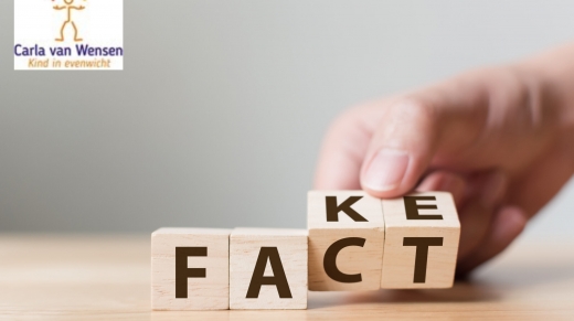 blokken met de woorden fact en fake